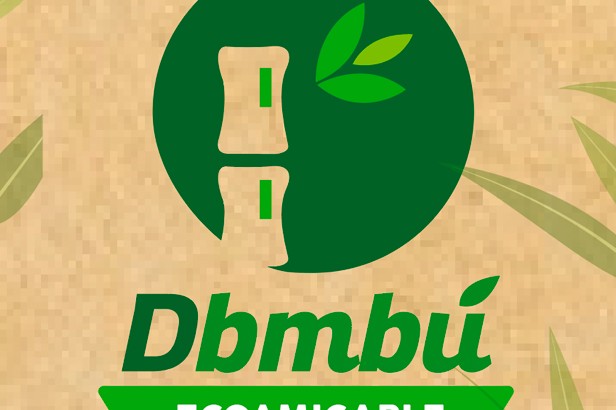 dbambu creacion de marca manual papeleria empaques
