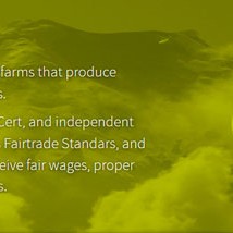 fairtrade 1