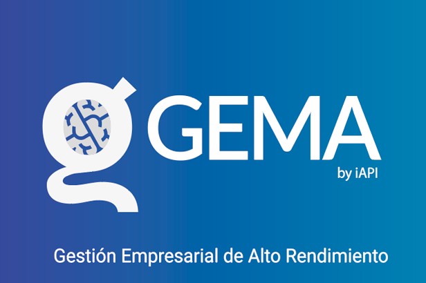 gestion empresarial alto rendimiento pagina web