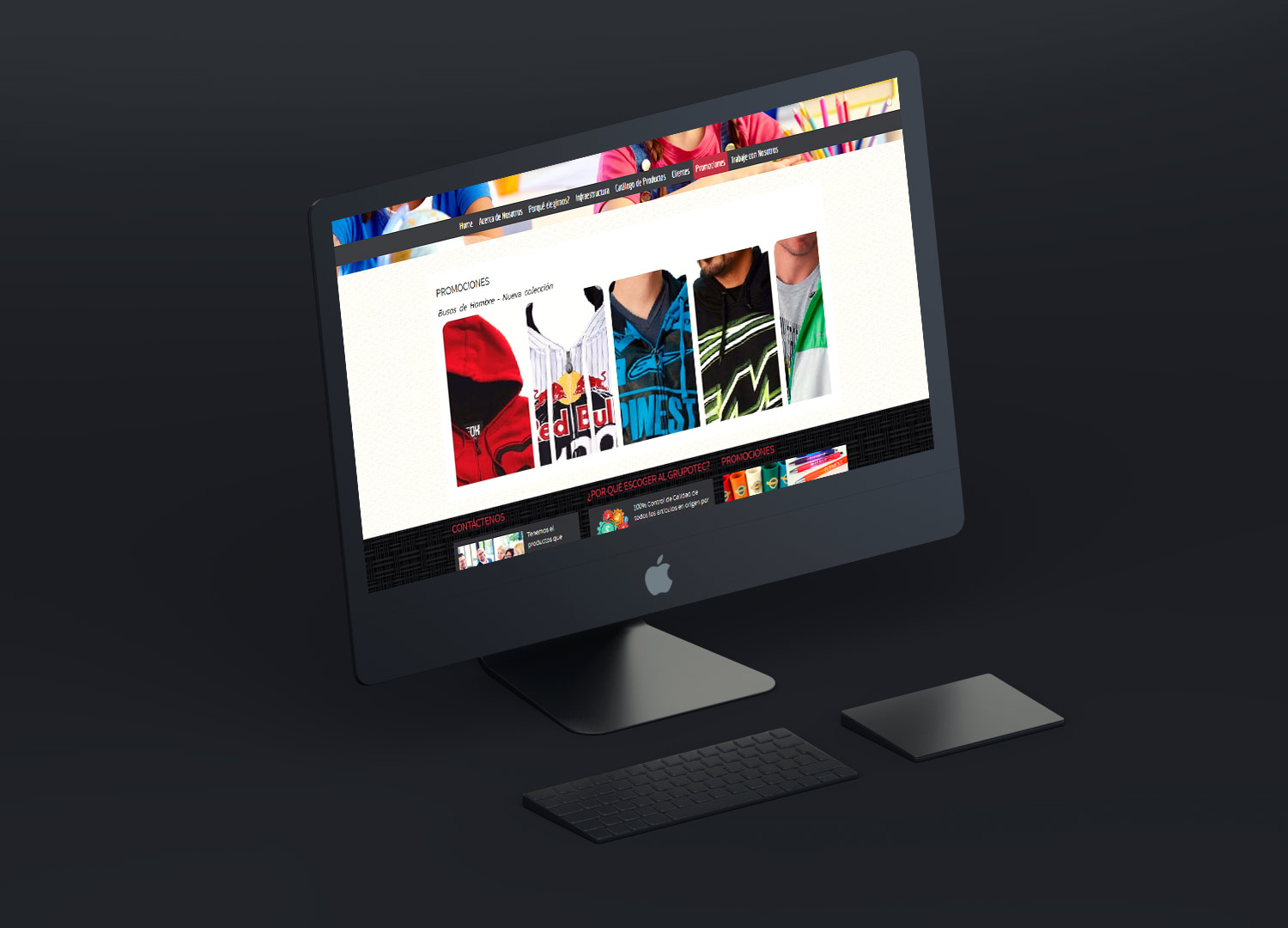 maletec website2