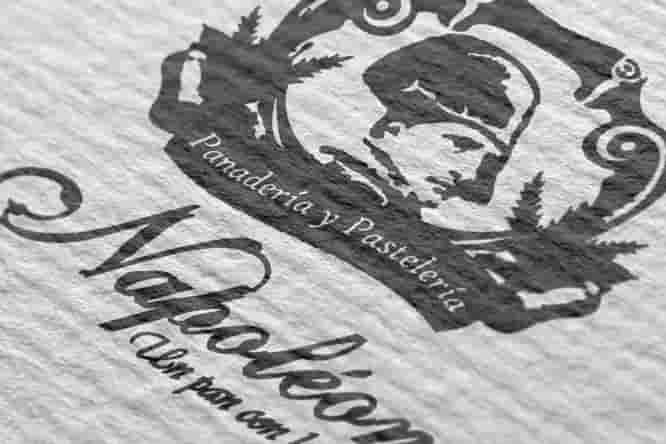 napoleon logo portada min