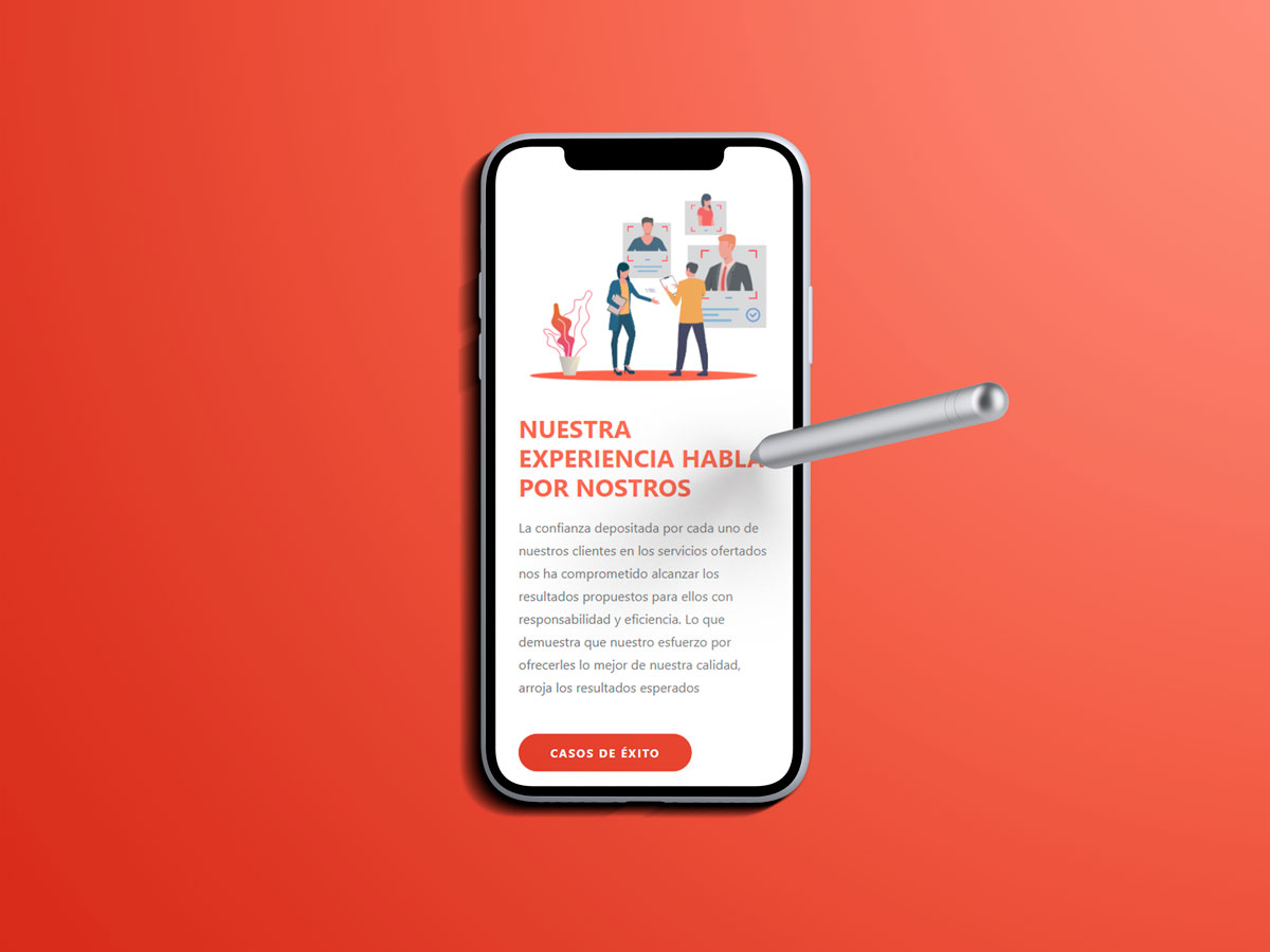 paginas web empresas registrosya ecuador desarrollo web