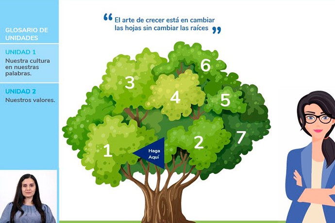 portada elearning hospital metropolitano conclina quito ecuador moodle lms