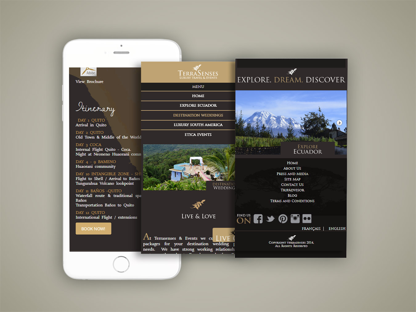 terrasenses sitio responsive